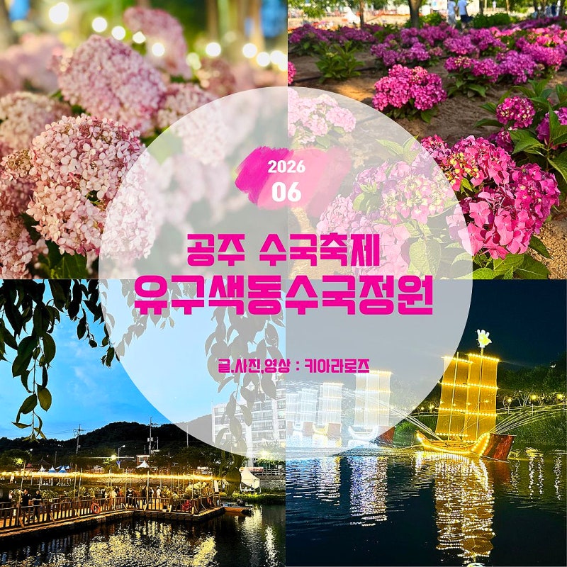 공주 수국축제 유구색동수국정원 6/27 개화상황! 야간 풍경과 7월 방문 추천 시기