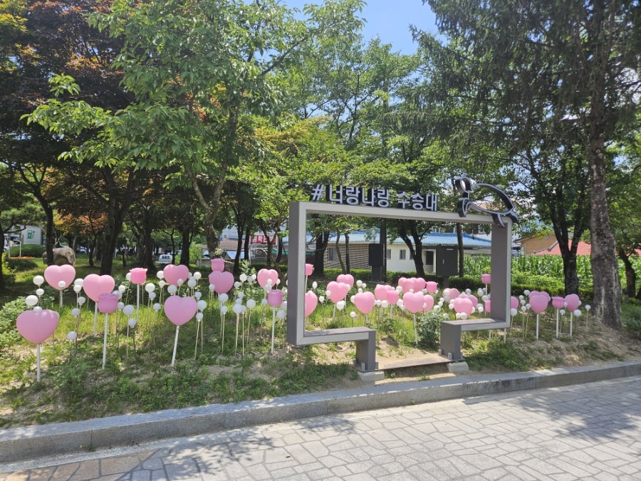 와따종합어시장 사진 5
