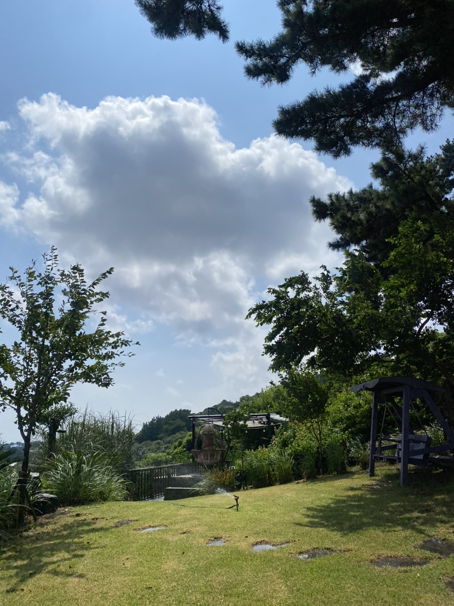 예뜰 사진 6