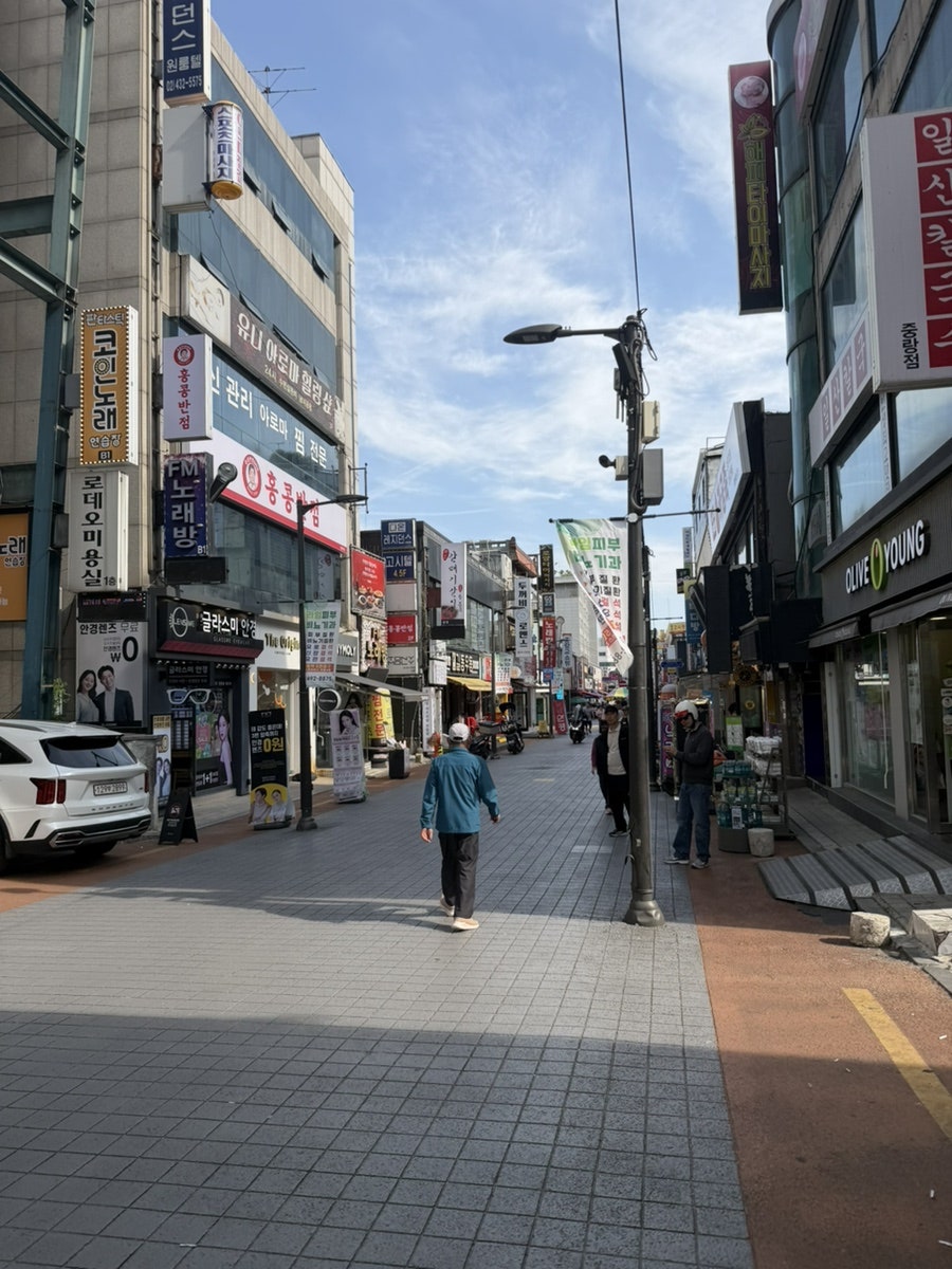 동부갈매기 사진 2