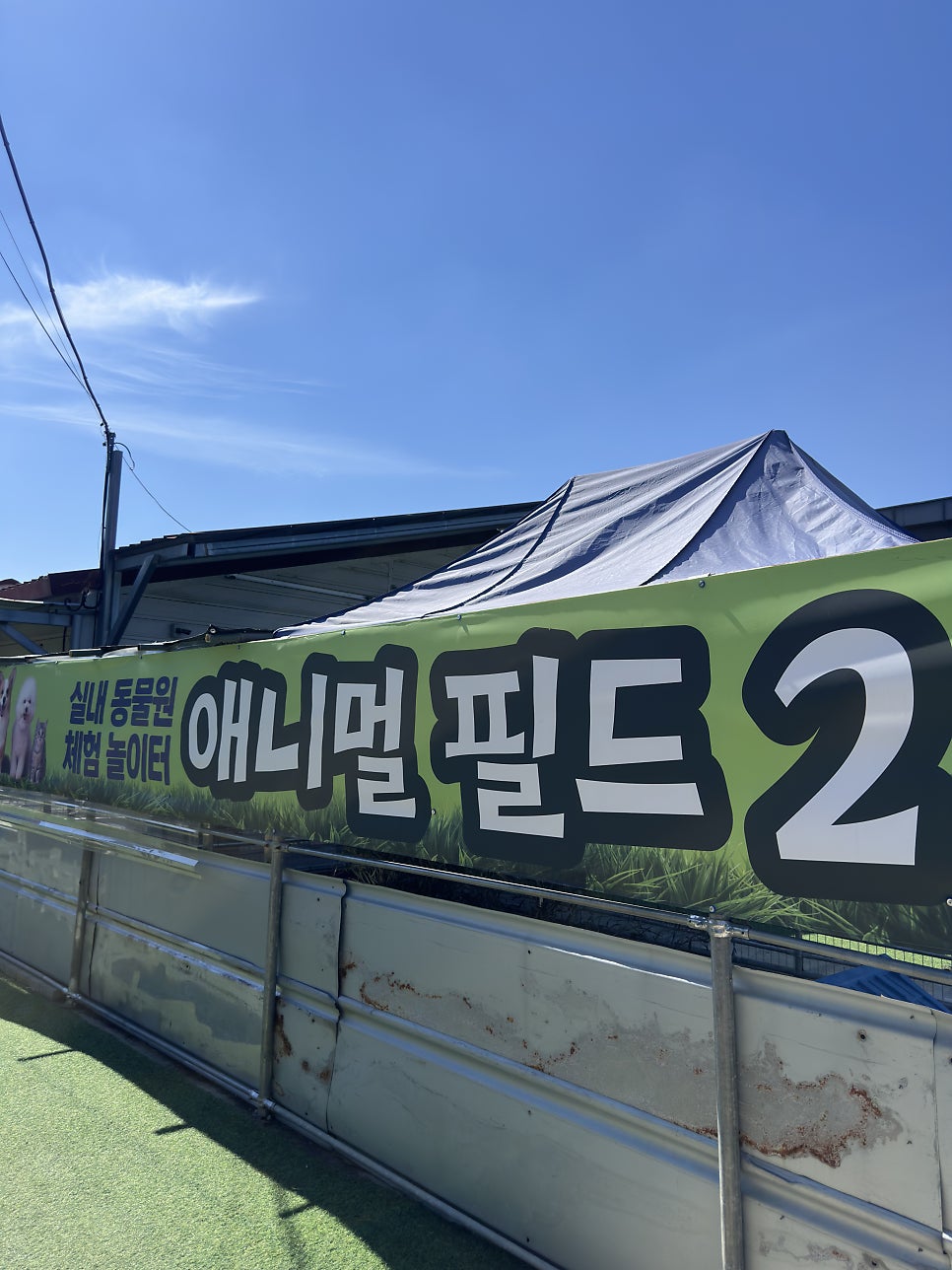 애니멀필드2 사진