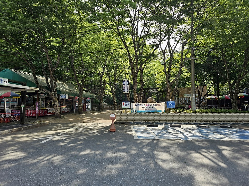 구곡폭포 국민여가 캠핑장 사진 5