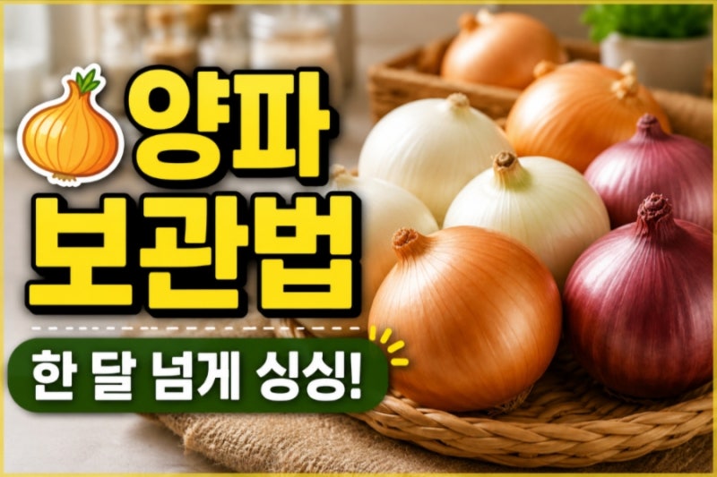 양파 보관방법! 오래 보관하는 법부터 냉장·냉동·실온 보관 꿀팁