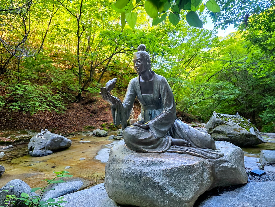 세향다원 사진 6