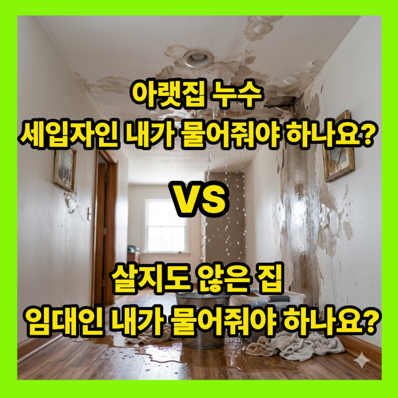 가성비 최고 '일배책' 보험, 잘못 알고 있으면 한 푼도 못 받습니다! (누수, 중복가입, 주의 사....