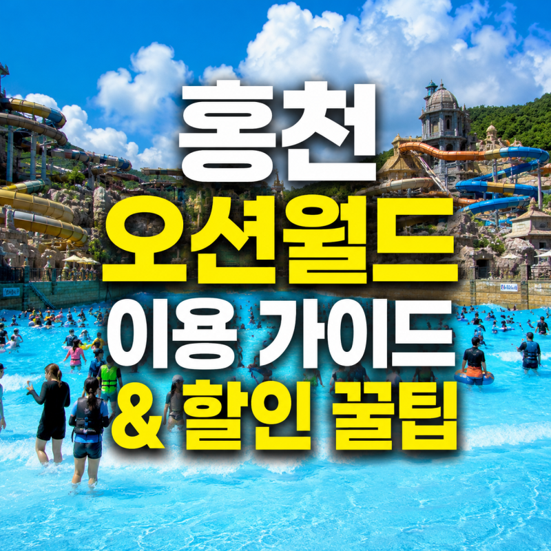 홍천 오션월드 | 어트랙션과 야외 개장 완벽 가이드