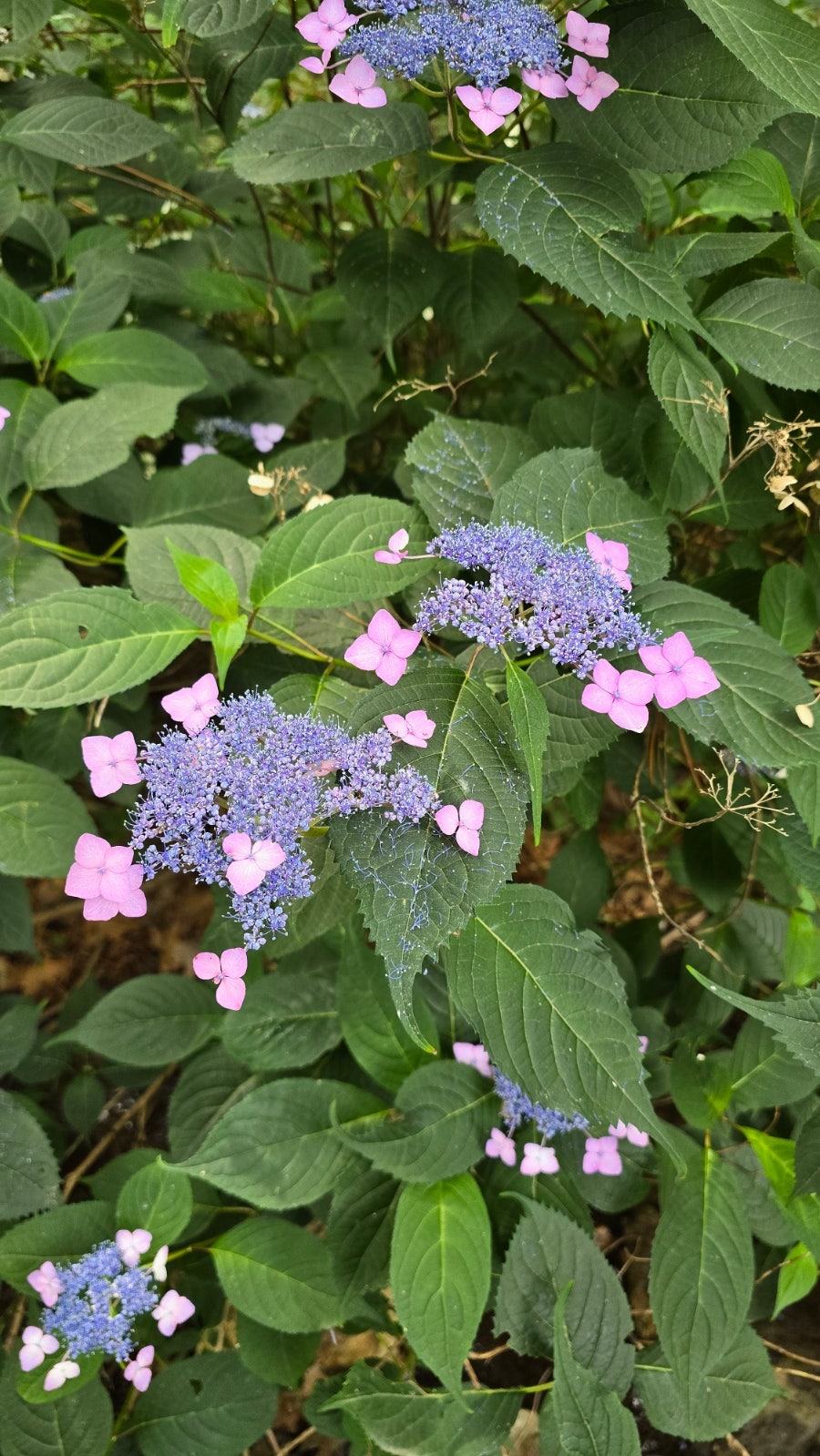 인등산 사진 1