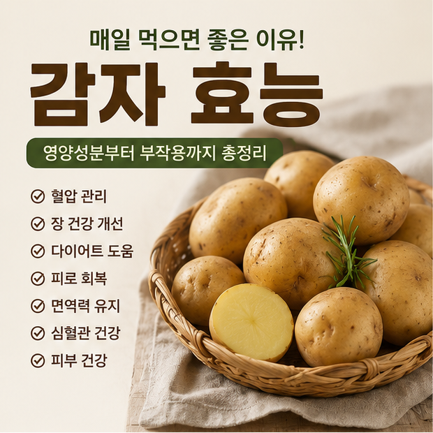 감자 효능 총정리! 매일 먹으면 좋은 이유, 영양성분부터 부작용까지