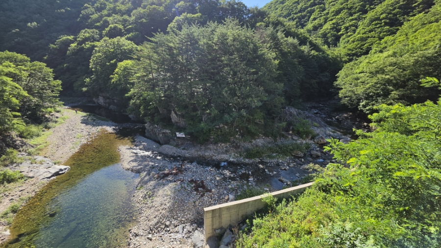 뒷골 사진 5