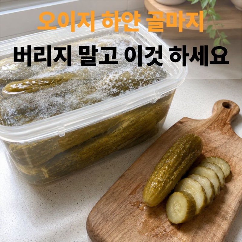 오이지 골마지 해결방법, 처리법부터 무르는 이유 예방까지 정리했어요