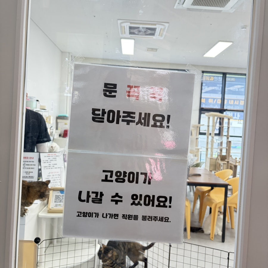 Goyangichulgeunjung photo 6