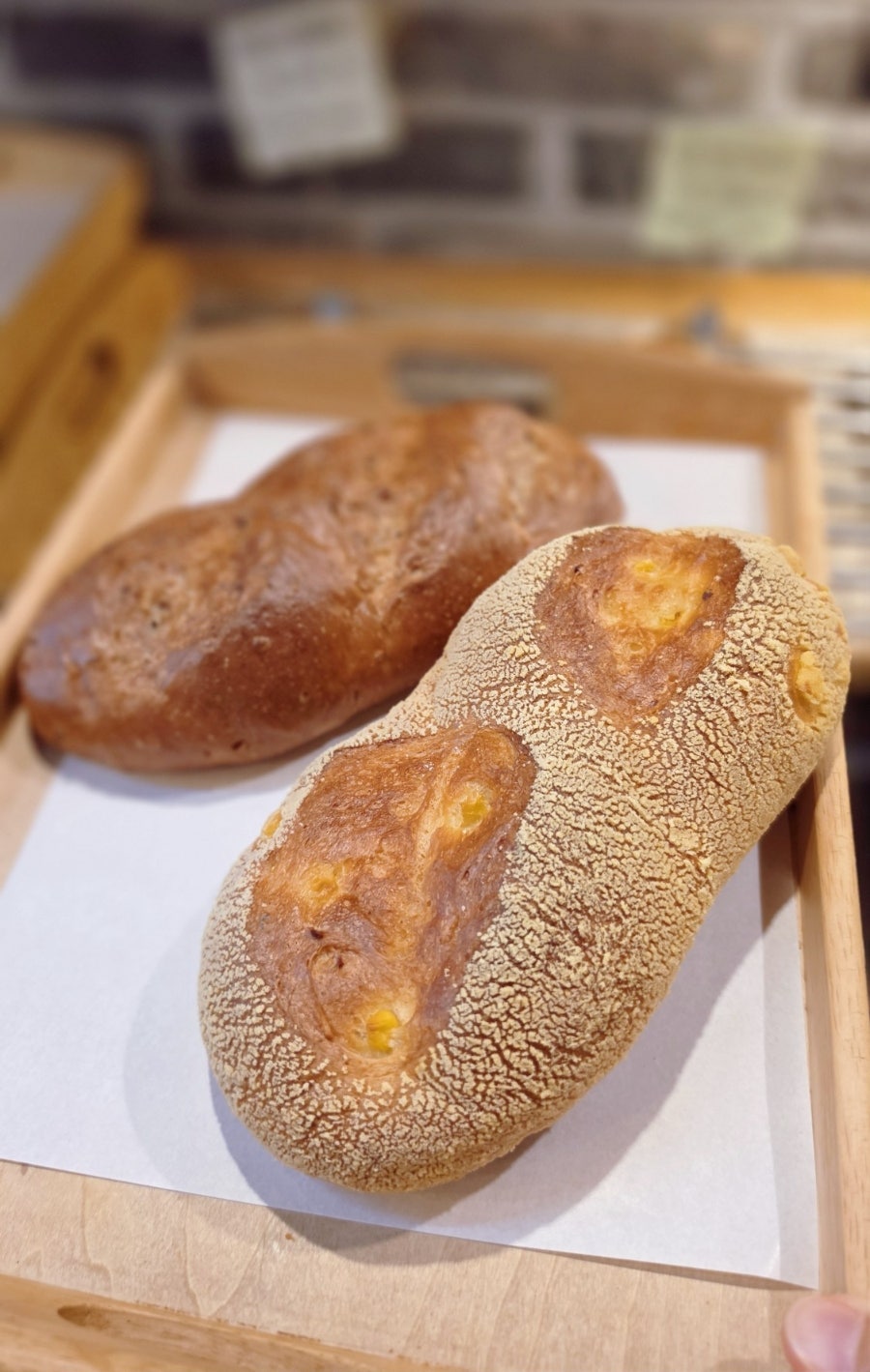 조은하루 사진 6