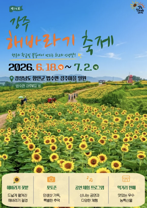 함안 강주 해바라기 축제 2026 개화시기부터 주차장까지 한눈에 정리