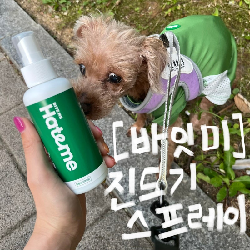 14살 노견도 안심! 강아지 진드기 스프레이 추천 "헤잇미 플러스 스프레이" 솔직사용후기