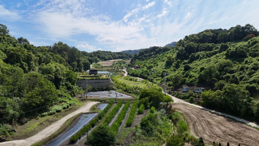 환타파인펜션 사진 1