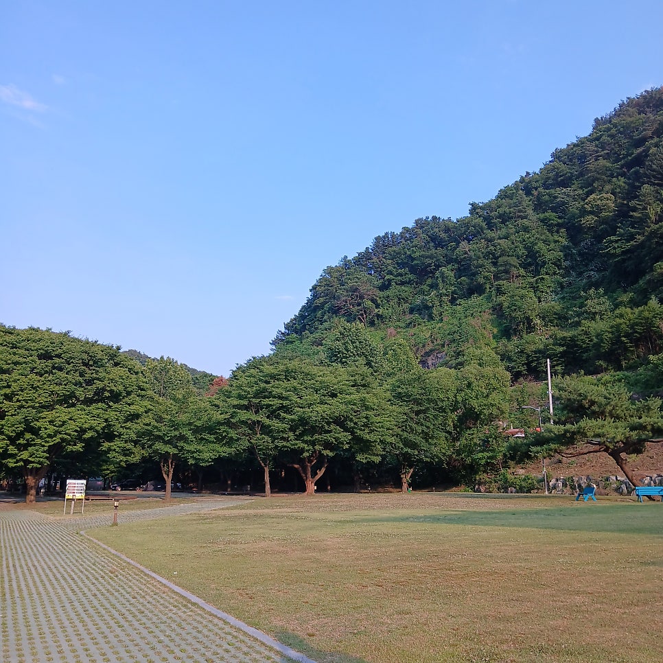 산장관광지 캠핑장 사진 6