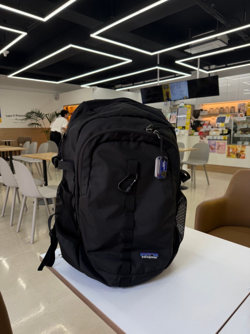 30대 남자 데일리 백팩 추천 파타고니아 리퓨지오 데이팩 26L 47914R5 후기 무게, 착샷
