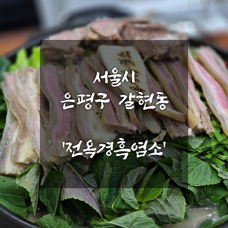 전옥경흑염소 사진 1