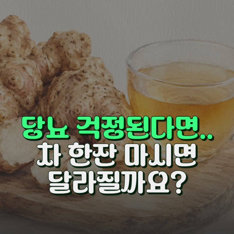 돼지감자차 효능과 당뇨에 좋은 이유 끓이는 방법 정리