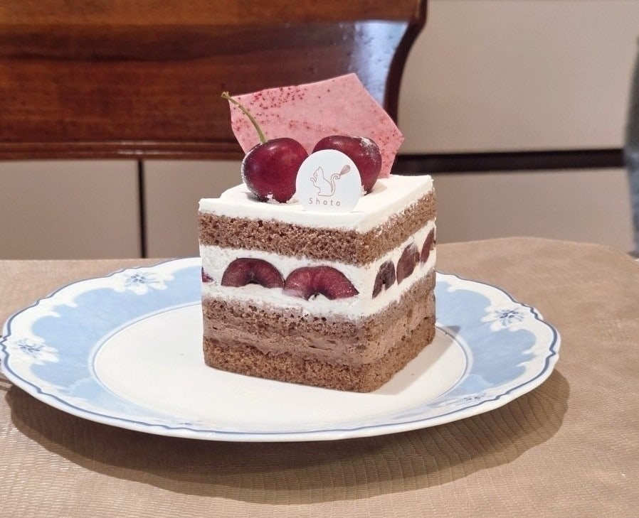 쇼토 사진 1