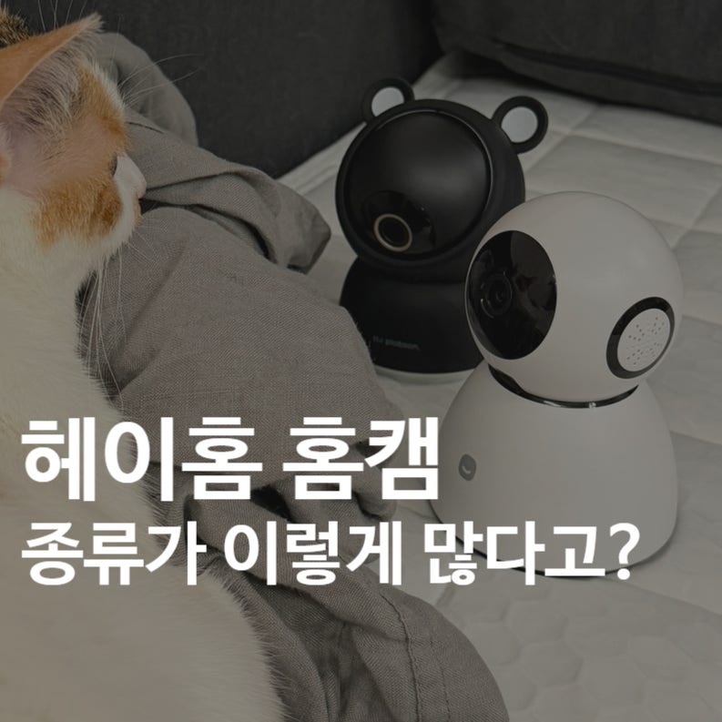 헤이홈 홈캠｜Pro, Pro+, G2까지 전체 라인업 정리