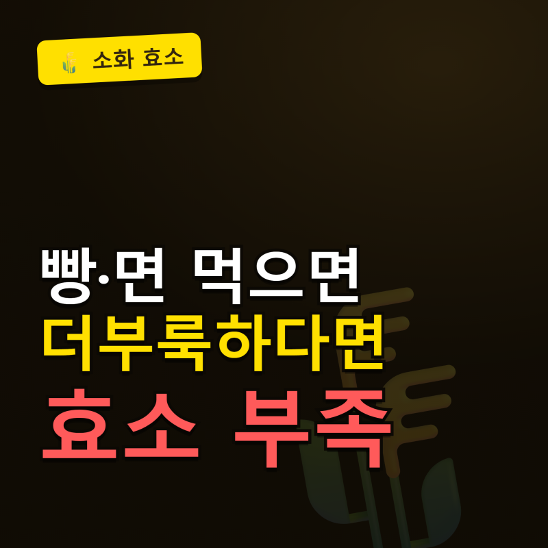 파로효소 효능 "50 넘어가면 필수로 섭취하셔야 합니다" 고대곡물 파로 먹는 법