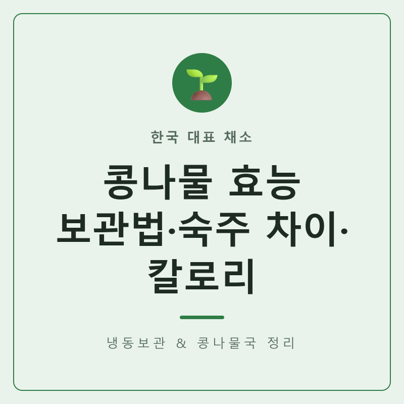 콩나물 효능과 보관법, 냉동·숙주 차이·콩나물국 칼로리까지