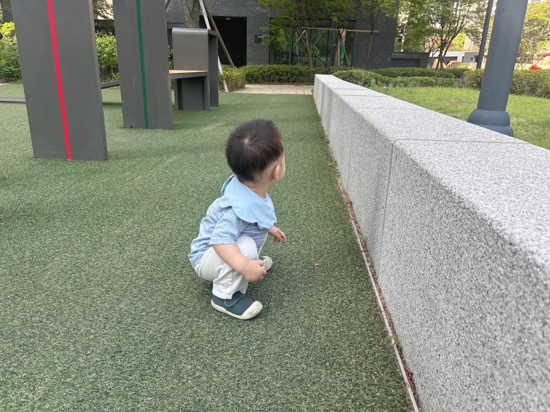 [D+436,437,438] 소고기 구이 먹는 아가 - 돌아기 소고기 추천, 소고기 부위 추천, 구워먹는 고기, ....