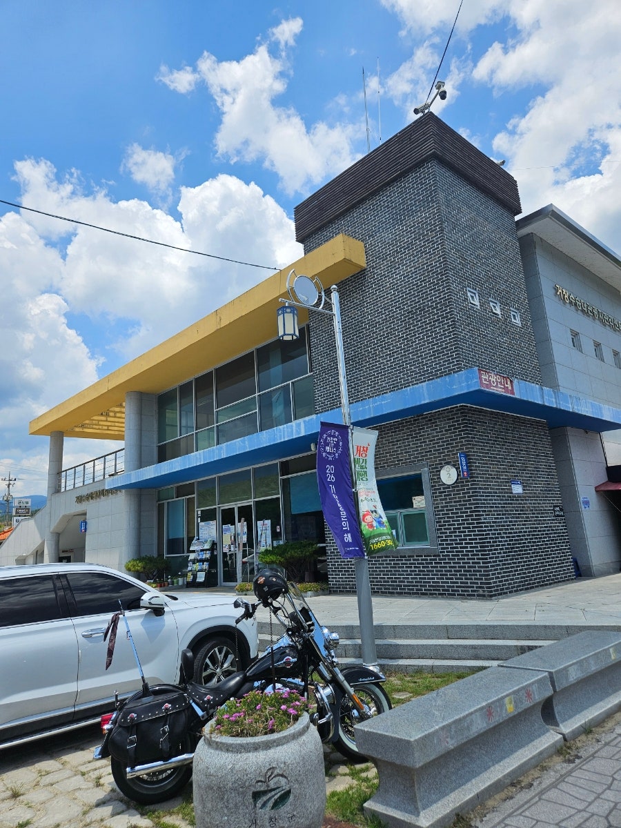 와따종합어시장 사진 4