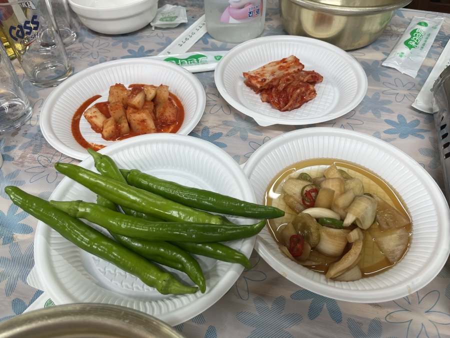 산에들에 사진 6