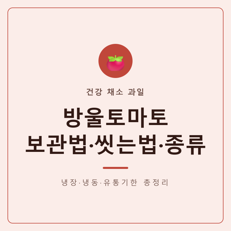 방울토마토 보관방법과 씻는 법, 종류·유통기한까지 총정리