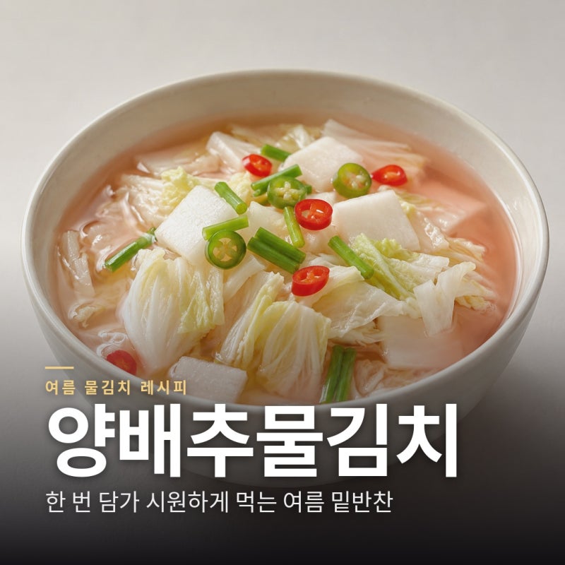 양배추물김치 만드는 법, 한 번 담가 시원하게 먹는 여름 밑반찬