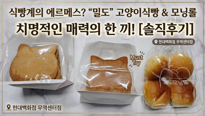현대백화점 무역센터점 식빵계의 에르메스 밀도 고양이식빵 & 모닝롤 치명적인 매력 후기