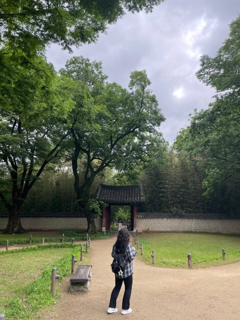 전주 당일치기 여행, 전주한옥마을, 풍년제과 메뉴추천, 소래버섯나라, 르노트르, 베테랑칼....