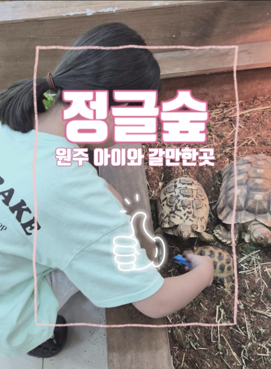정글숲 사진 1