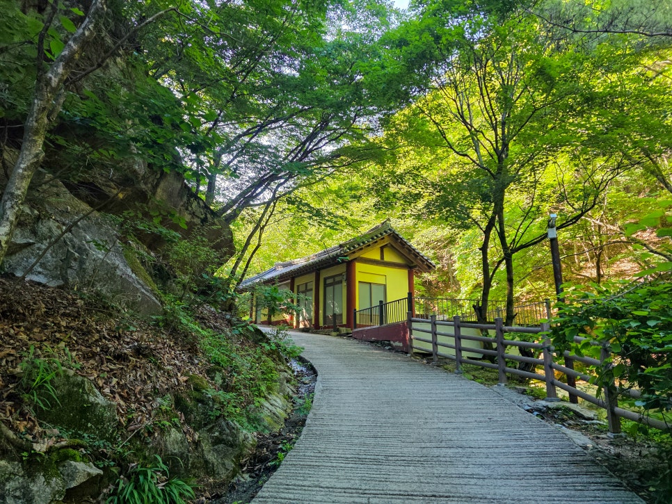세향다원 사진 5