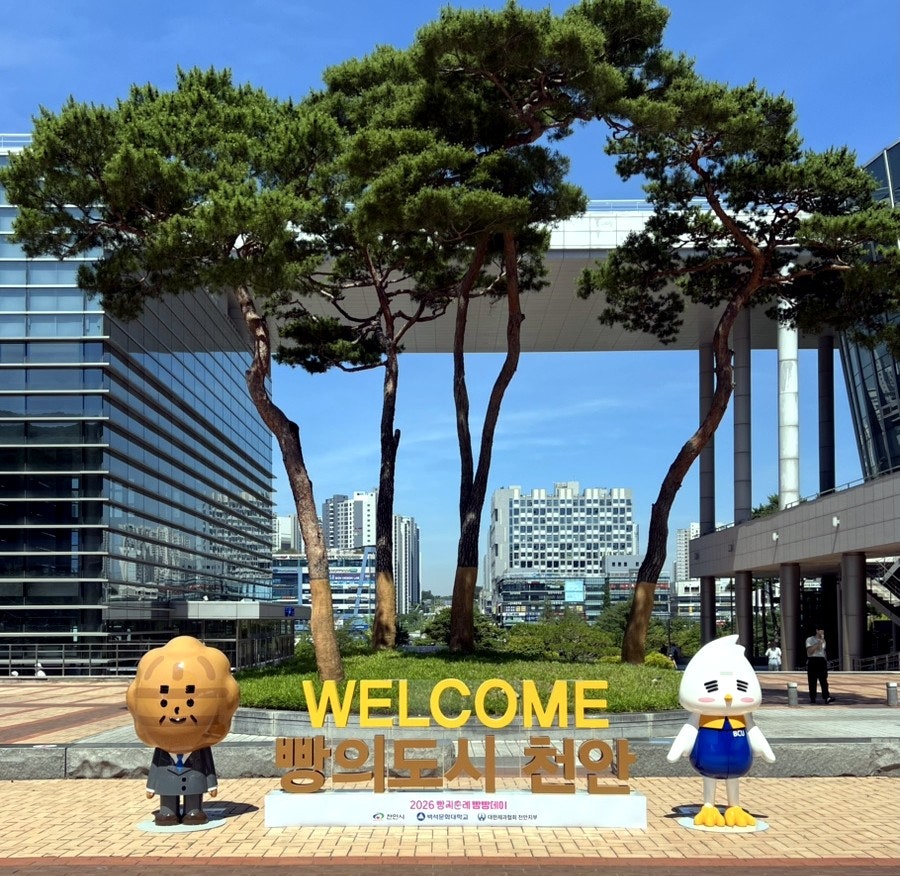 최강수과자점 사진 6