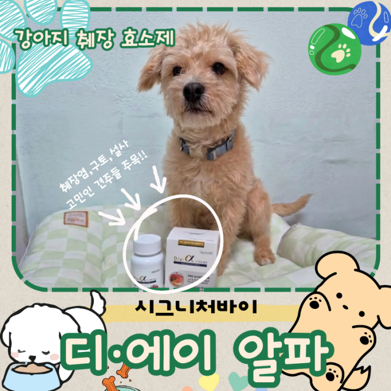 강아지췌장 효소제 시그니처바이 D/a알파! 복합 췌장 효소제로 케어 시작~