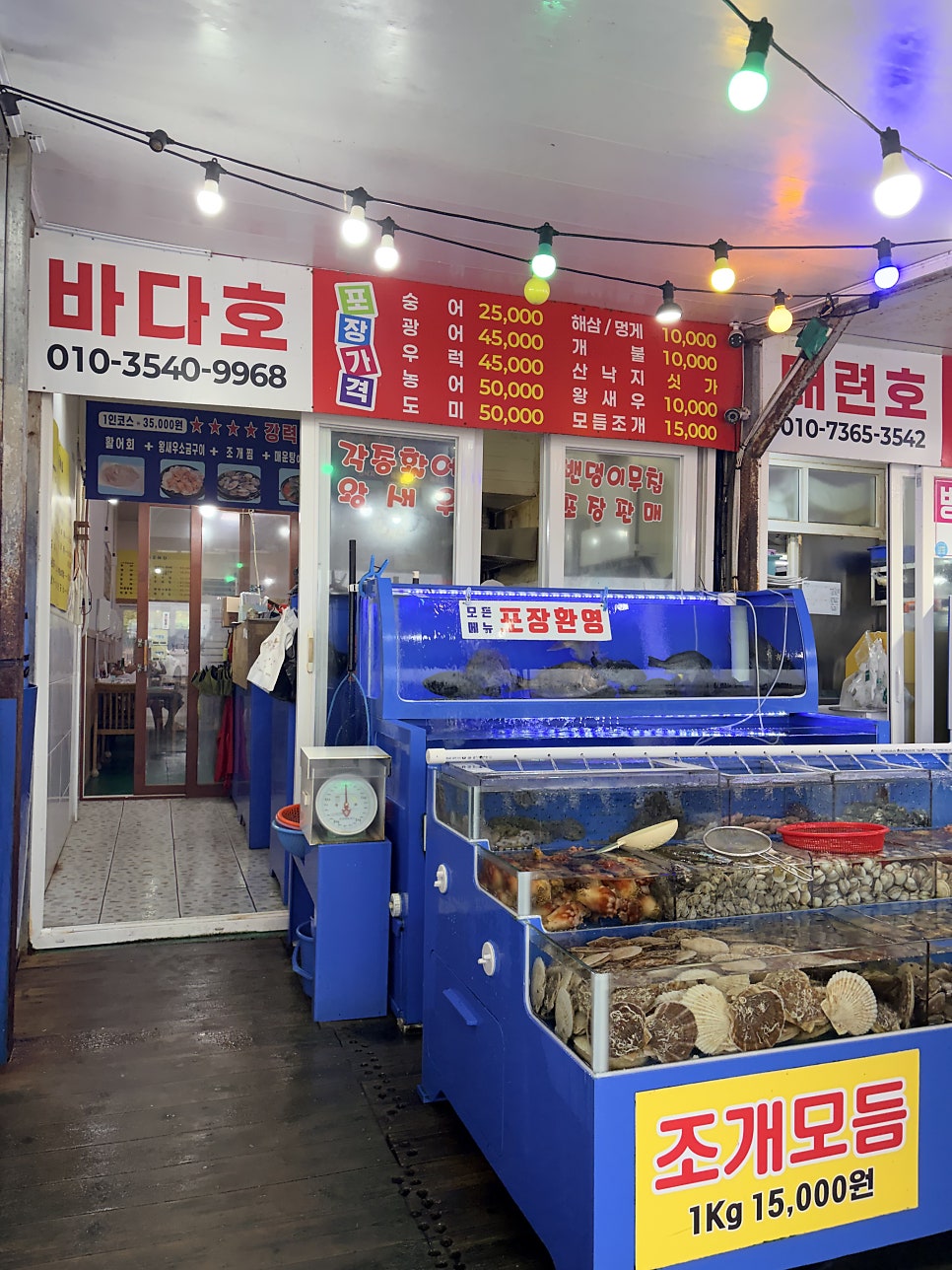 바다호 사진 2