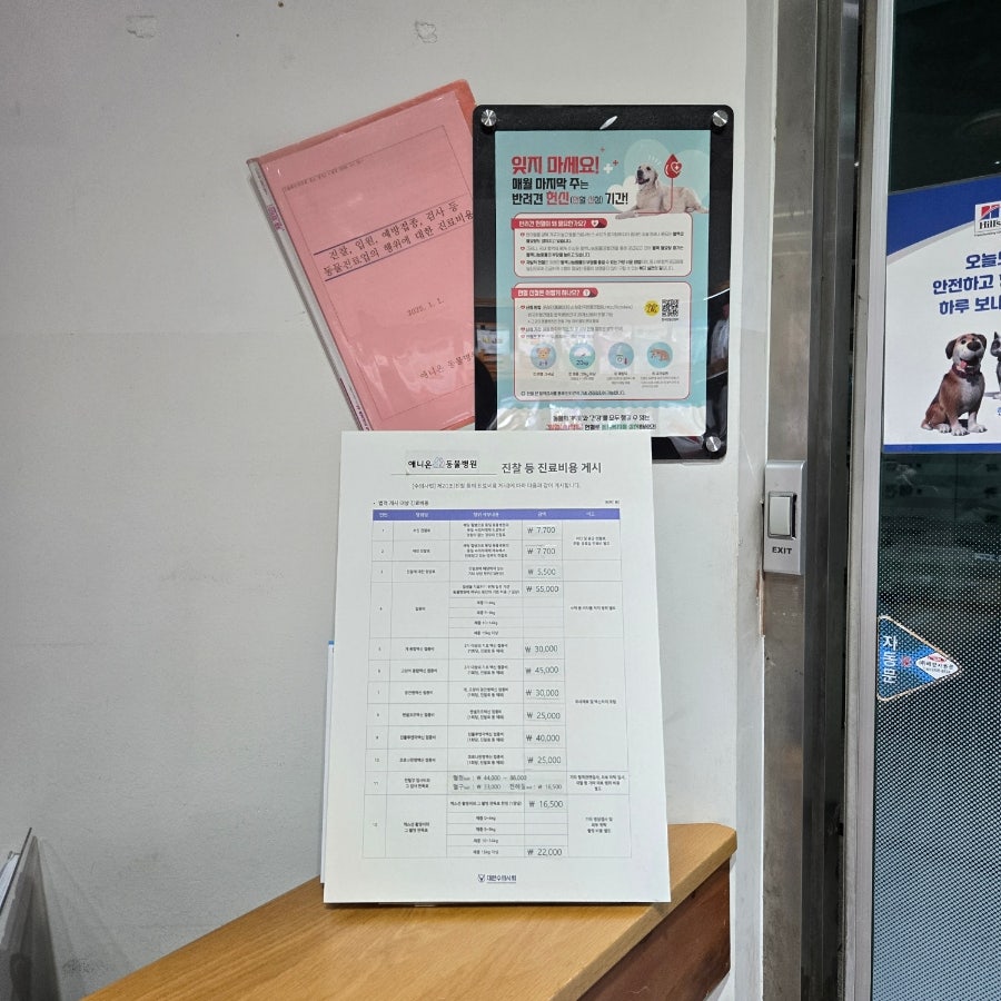 거기 사진 3