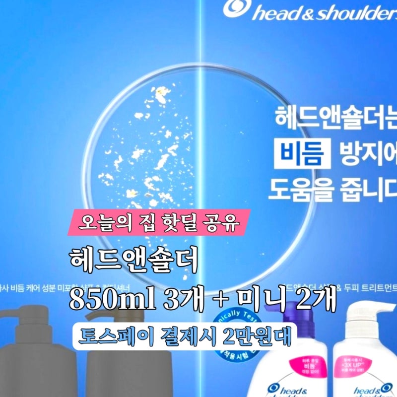 (오늘의집/샴푸 대란) 헤드앤숄더 850ml 3개(+미니샴푸 2개) 역대급 핫딜! 토스페이 결제 시 2만....