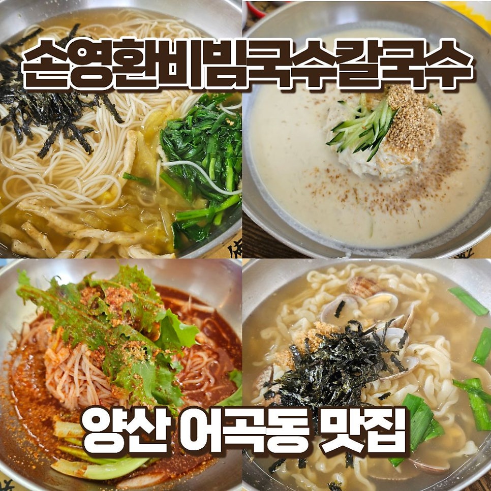 손영환비빔국수칼국수 사진 1