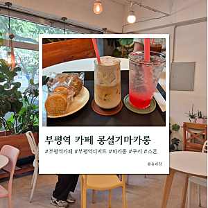 부평역 카페 콩설기마카롱 : 선물하기 좋은 마카롱 맛집 부평역 디저트 카페 내돈내산 후기
