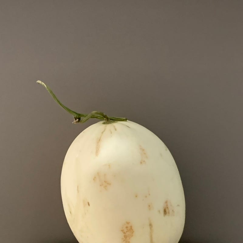 멜론 냉장고 후숙 기간 메론 보관 방법