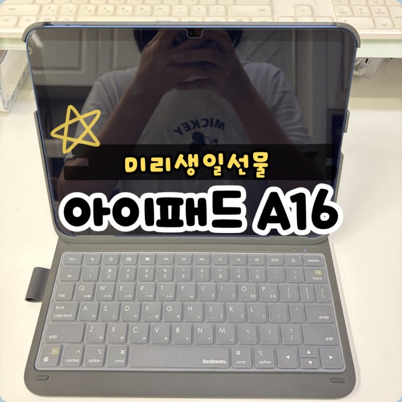 아이패드 A16 후기｜남편에게 받은 미리 생일선물