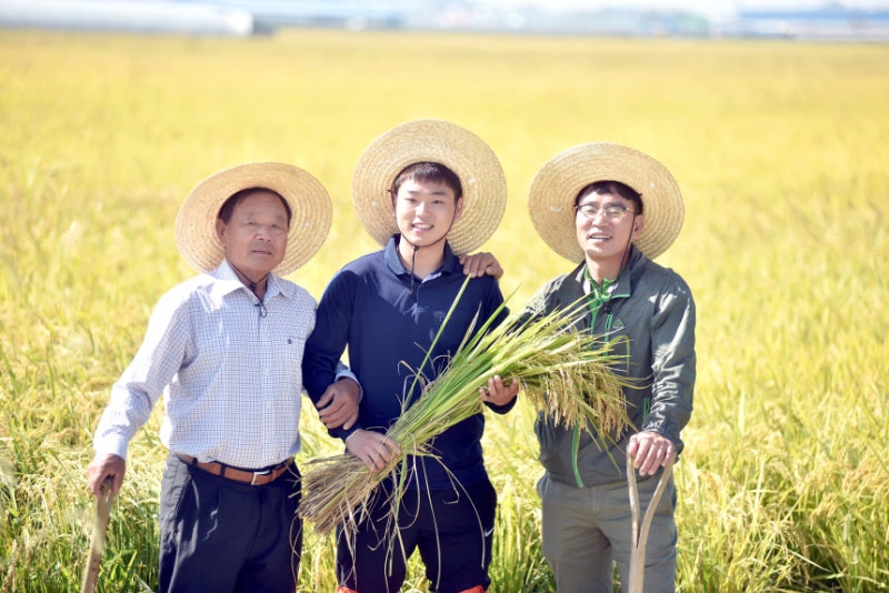 소문난농부 삼광 백미 갓 도정한 신선함 그대로