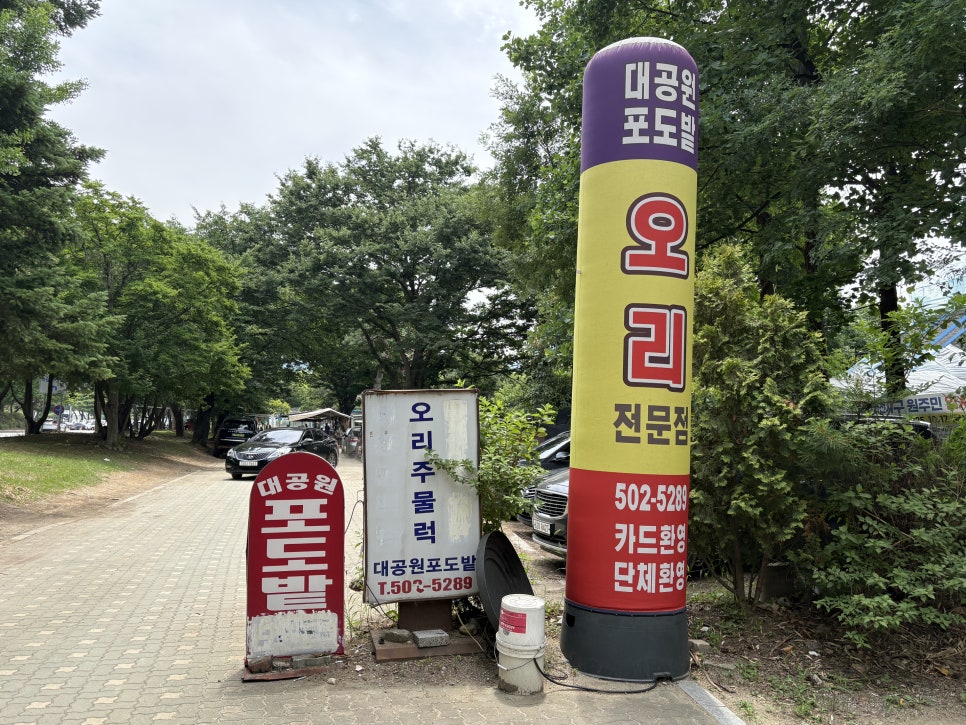 대공원포도밭 사진 1
