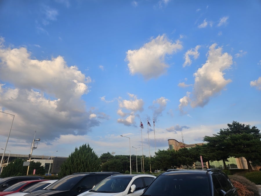 풀무원 플레이보6 청주국제공항 사진 3