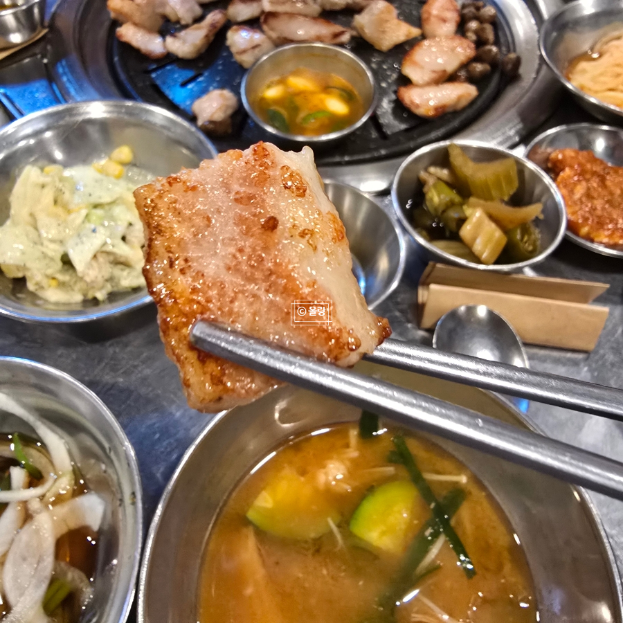 모던꿀꿀 사진 2