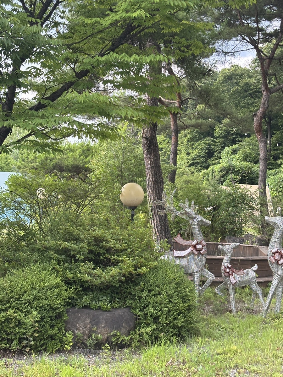 블루문가든 사진 3